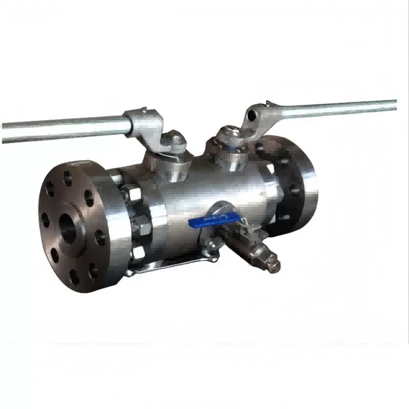 Double blowdown ball valve, blow down valve