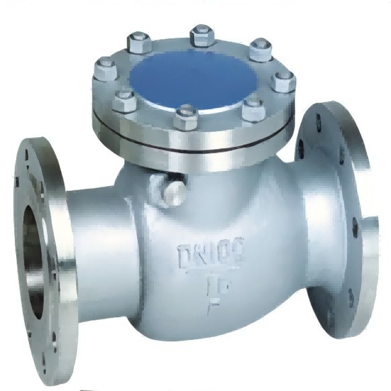 Stainless steel check valve