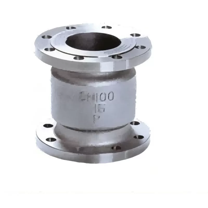 Stainless steel vertical check valve