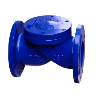 Rubber flap check valve