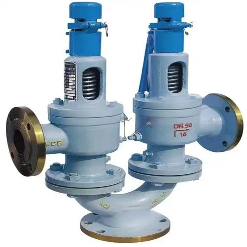 Double safety valve，safety valve