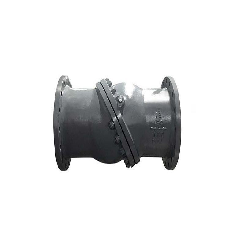 Swash plate check valve, check valve