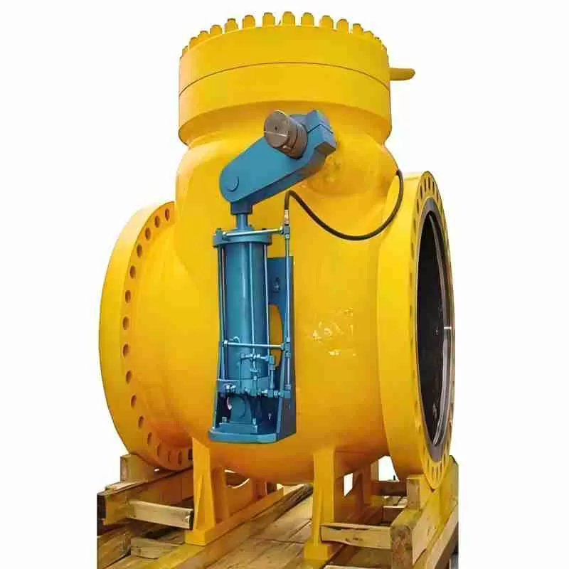 Swing check valve,check valve