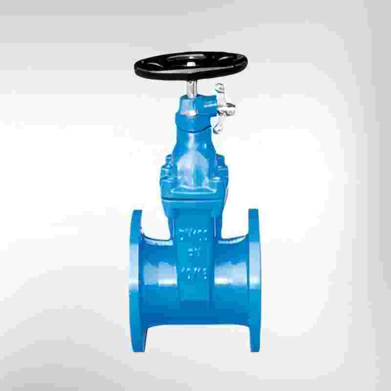 Lock-closed elastic seat seal gate valve,gate valve
