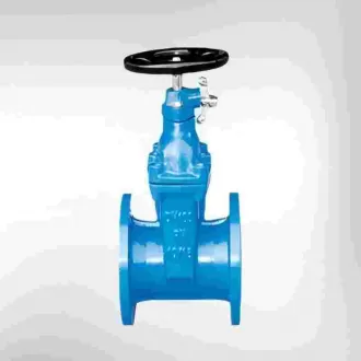 Lock-closed elastic seat seal gate valve,gate valve