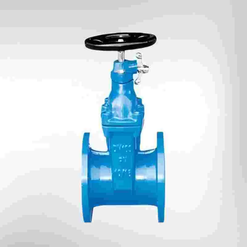 Lock-closed elastic seat seal gate valve,gate valve