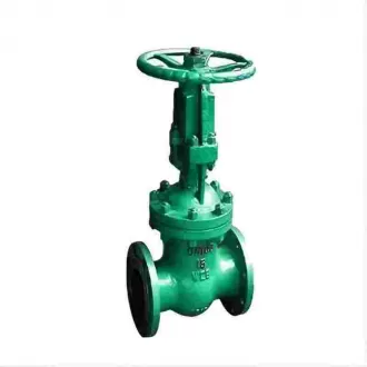 Vacuum isolation gate valve,gate valve
