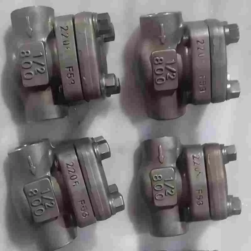F53 duplex steel threaded check valve, steel threaded check valve,check valve