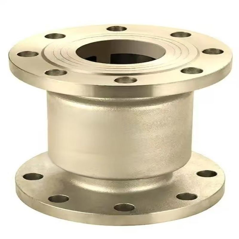 Vertical titanium check valve, Vertical check valve, Titanium check valve