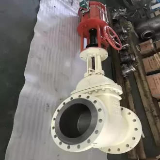 Flat gate valve, gate valve