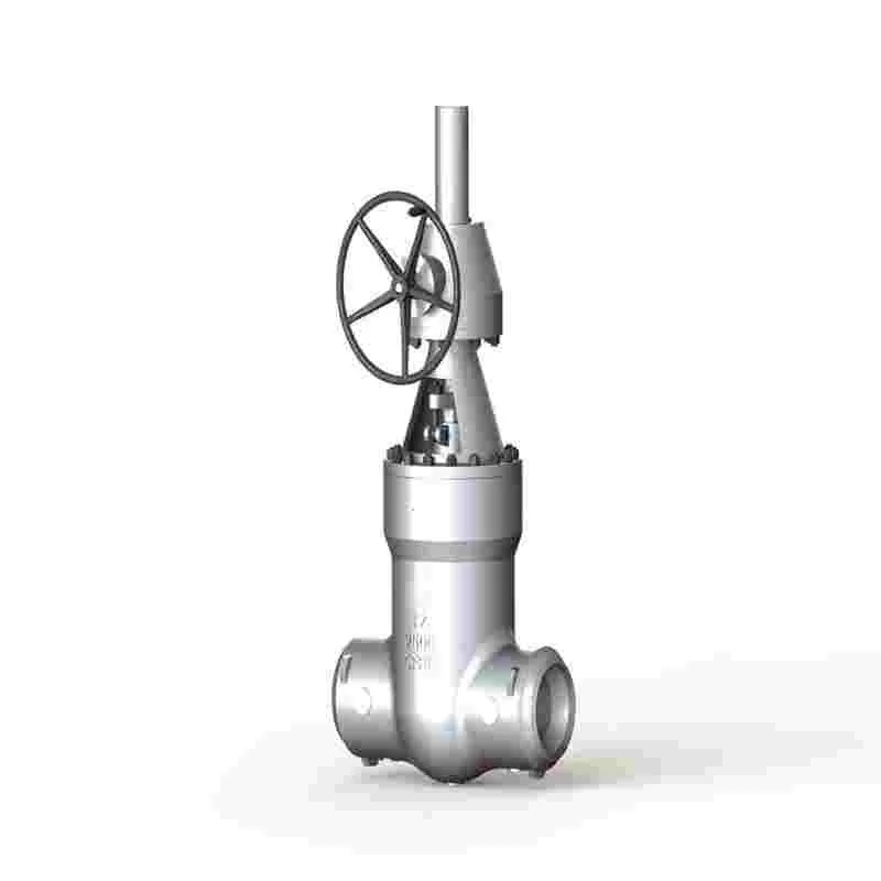 Hydrogenation gate valve,gate valve