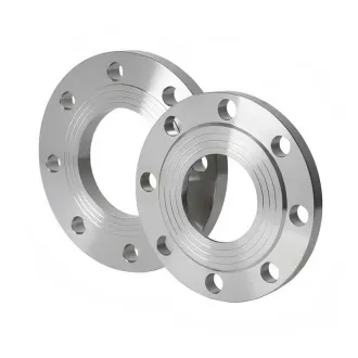 AISI 1513 Steel Flange,UNS G15130
