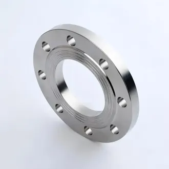 TA17  Titanium Alloy   Flange